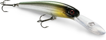 Tiedosto:Baby Thunderstick.jpg