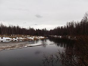Kalkiaisjoen rannat ovat osittain pensittyneitä ja vaikeakulkuisia