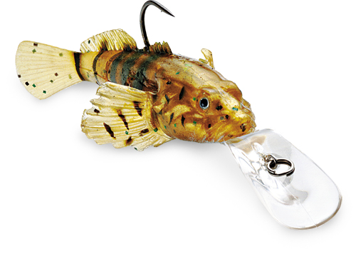 Tiedosto:Kickin goby.jpg