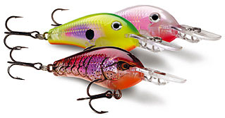 Tiedosto:Glass Fat Rap.jpg