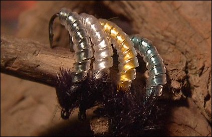 Muoviputki larva.jpg