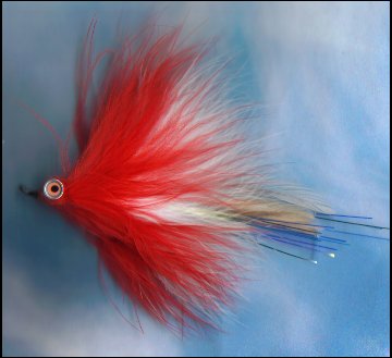 Marabou deceiver.jpg