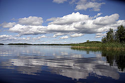 Haukijärvi